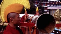 A Song for Tibet - DVD
