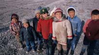 Arctic Defenders