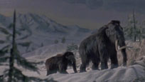 Canada Vignettes: Woolly Mammoth