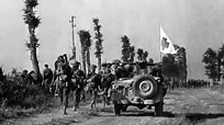 In Desperate Battle: Normandy 1944 - DVD