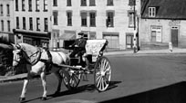 The Calèche Driver