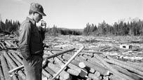 Log Drive