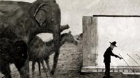 Muybridge's Strings, Les cordes de Muybridge, Muybridge's Strings, Les cordes de Muybridge