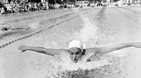 Olympic Swimmers