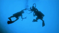Chasse à la pieuvre, Octopus Hunt