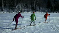 Ski de fond / Cross-country Skiing
