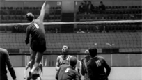 Volleyball