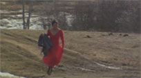 The Red Dress