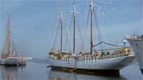 The White Ship