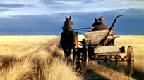 Windbreaks on the Prairies - DVD